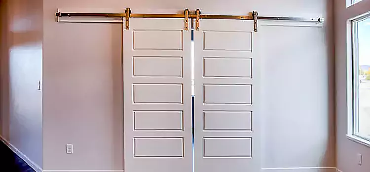 Glass Barn Door with Installation Hardware Kit Chesapeake