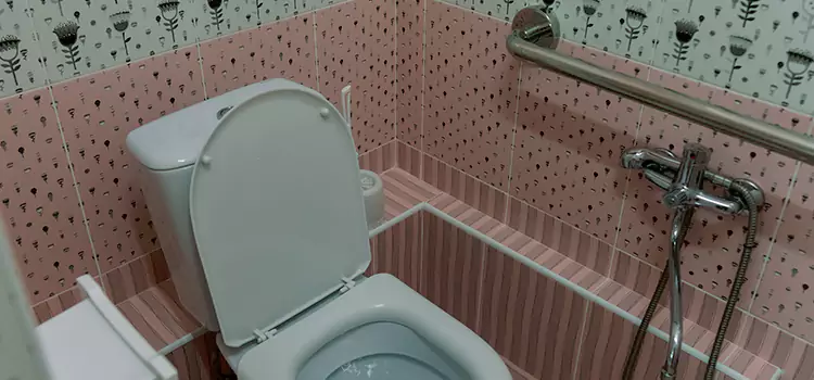 Meeting Diverse Needs With Accessible Restroom Solutions in Chesapeake, VA