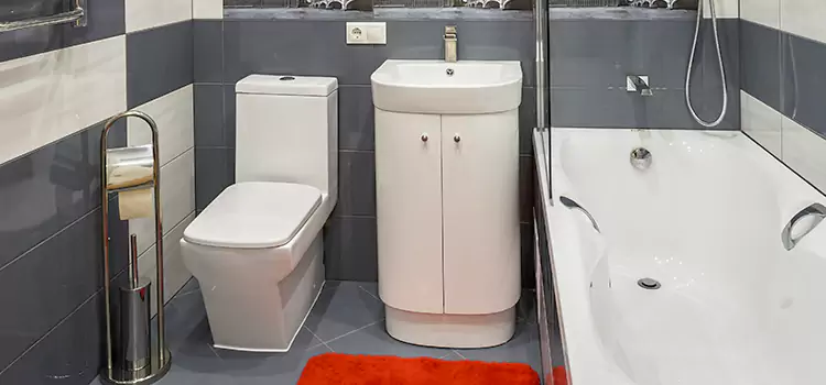 Hansgrohe Shaving Mirror Chesapeake