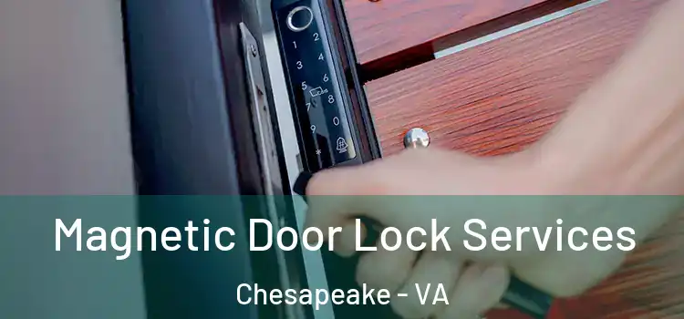 Magnetic Door Lock Services Chesapeake - VA