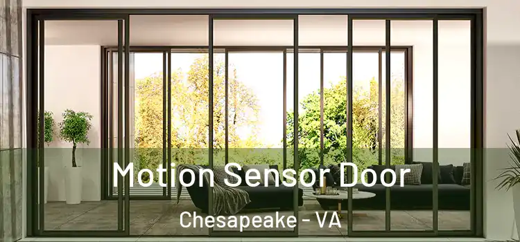 Motion Sensor Door Chesapeake - VA
